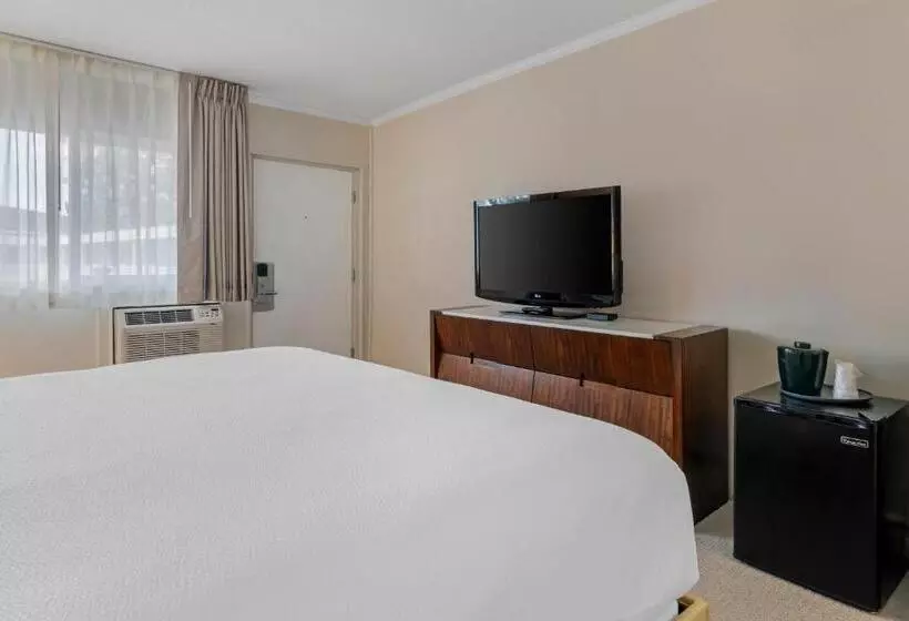 Hotelli Downtown Dover Inn