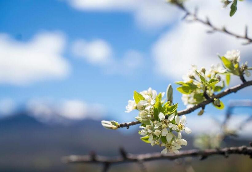 بنسيون Relais Raparo