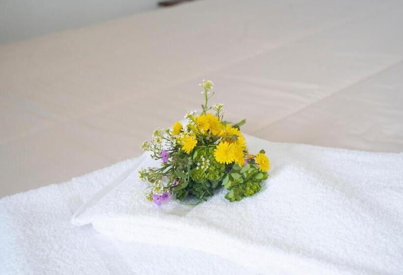 بنسيون Relais Raparo