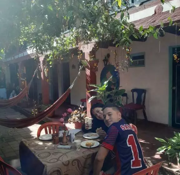 Alegria Hostel