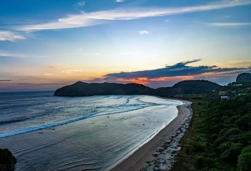 ベッドアンドブレックファースト Kahurangi