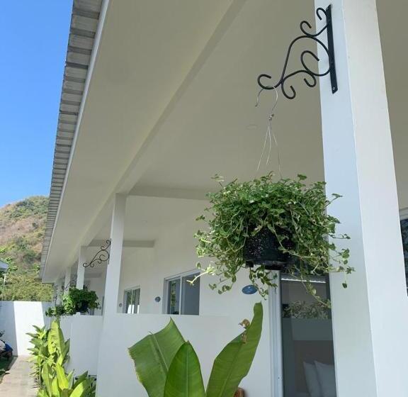 Nocleg ze śniadaniem Kahurangi