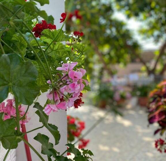 Pensió Guesthouse Albi