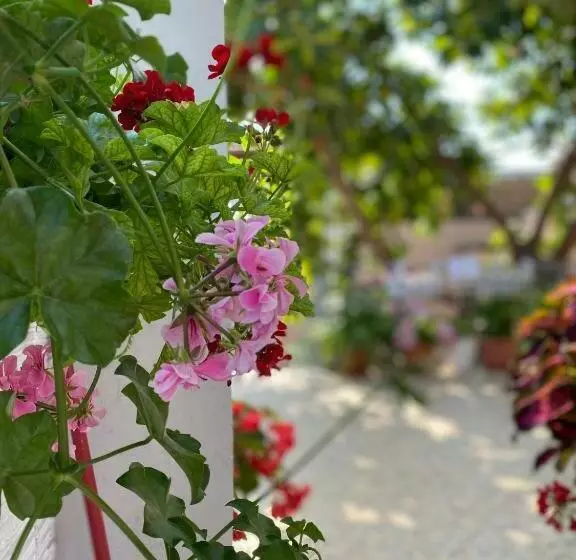 ペンション Guesthouse Albi