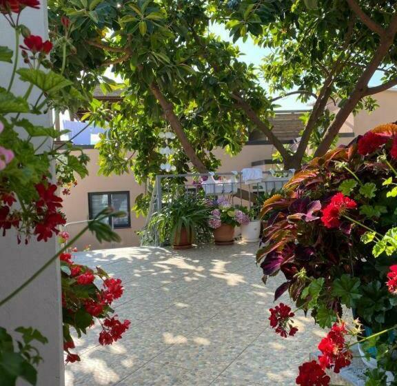 Pensió Guesthouse Albi