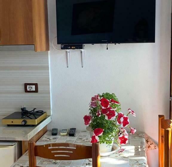 Pensió Guesthouse Albi