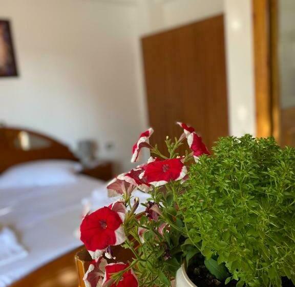 Pensió Guesthouse Albi