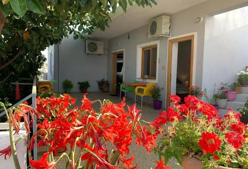 ペンション Guesthouse Albi