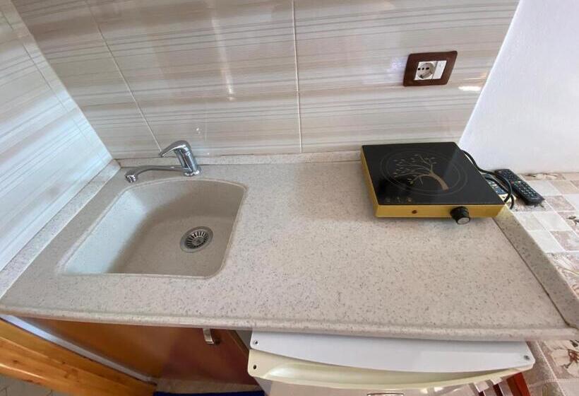 Pensió Guesthouse Albi