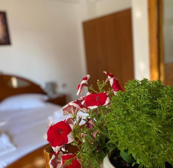 Pensió Guesthouse Albi