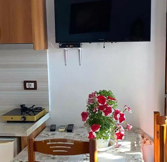 ペンション Guesthouse Albi