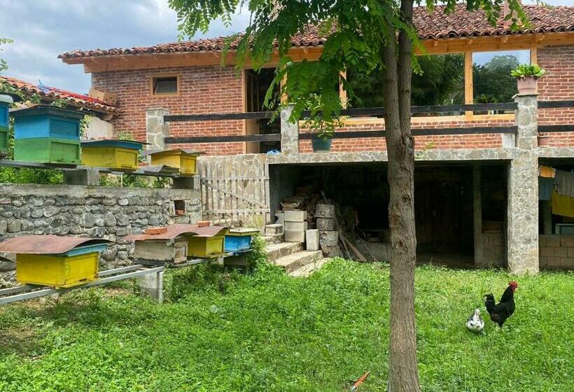 پانسیون Guest House Hyseni