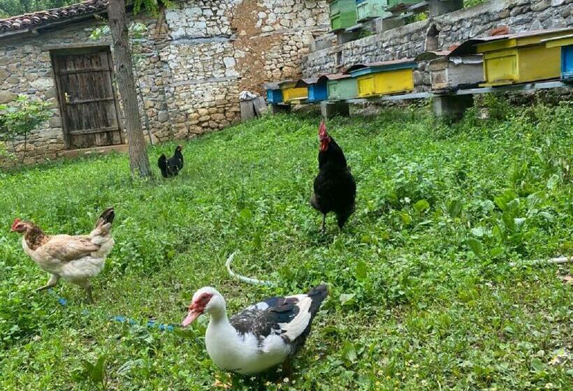 پانسیون Guest House Hyseni