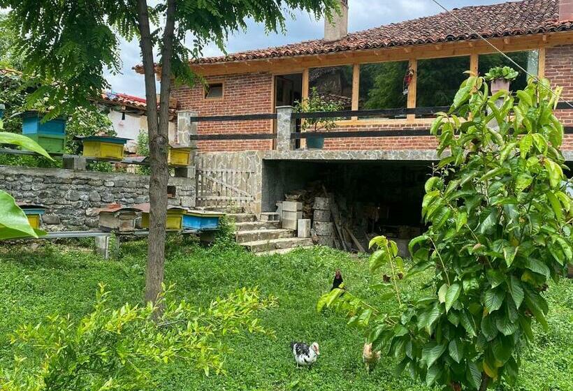 پانسیون Guest House Hyseni