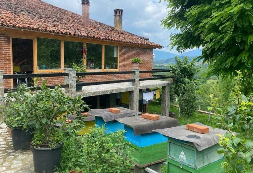 پانسیون Guest House Hyseni