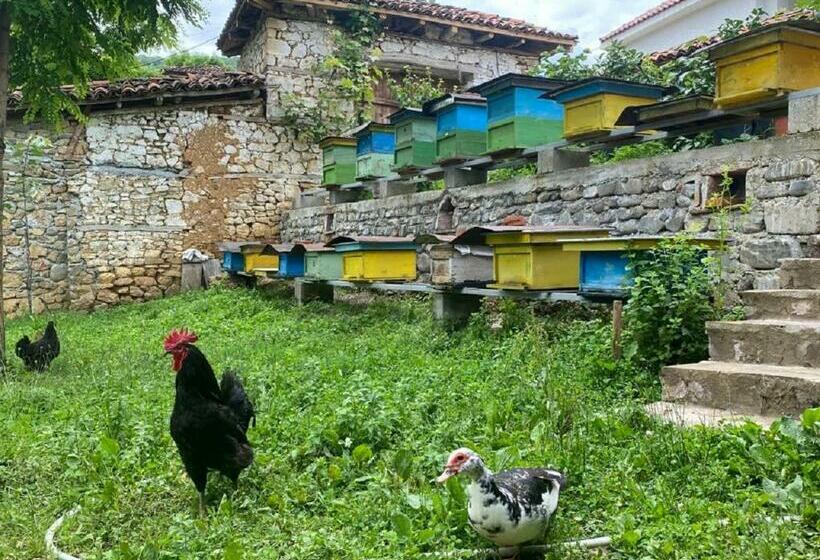 پانسیون Guest House Hyseni