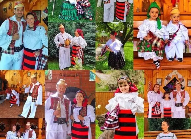 Pensiunea Carmen Borșa