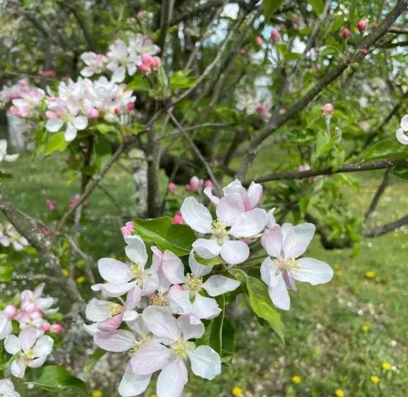 ベッドアンドブレックファースト La Croix Des Granges