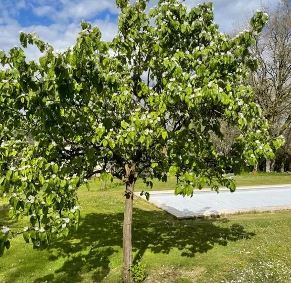 ベッドアンドブレックファースト La Croix Des Granges