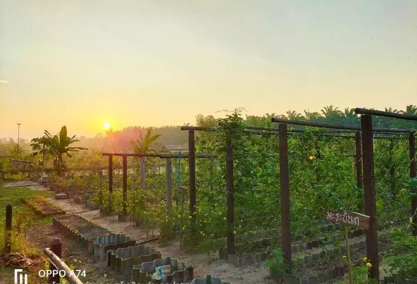 リゾートホテル Phonphusang Utopia Farmstay