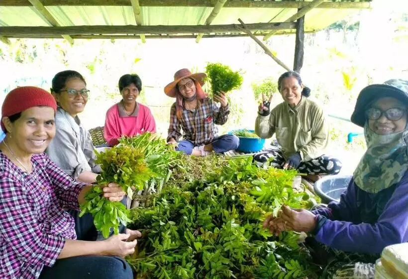 リゾートホテル Phonphusang Utopia Farmstay