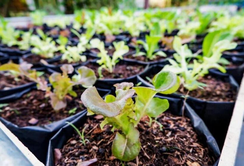 Resort Phonphusang Utopia Farmstay