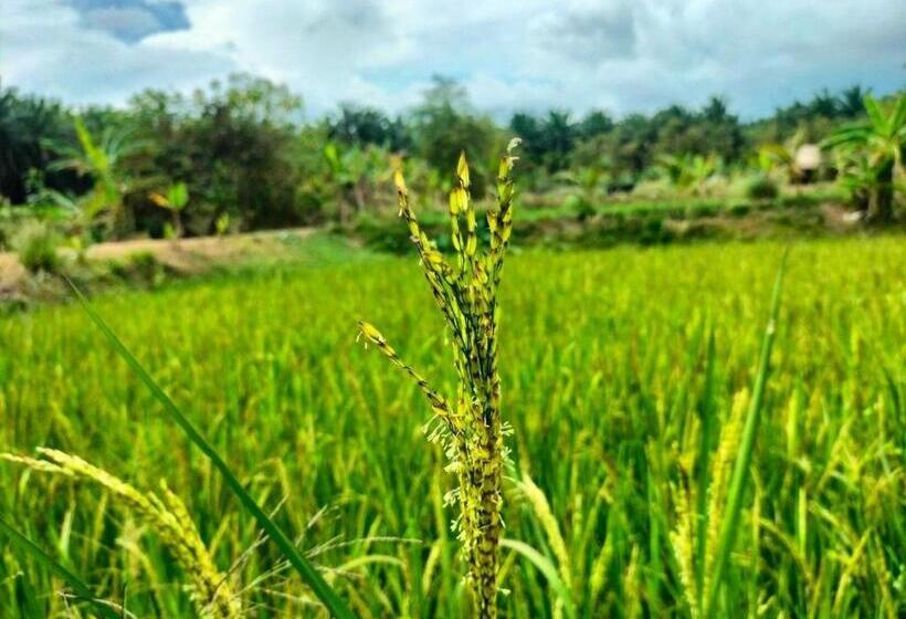 Resort Phonphusang Utopia Farmstay