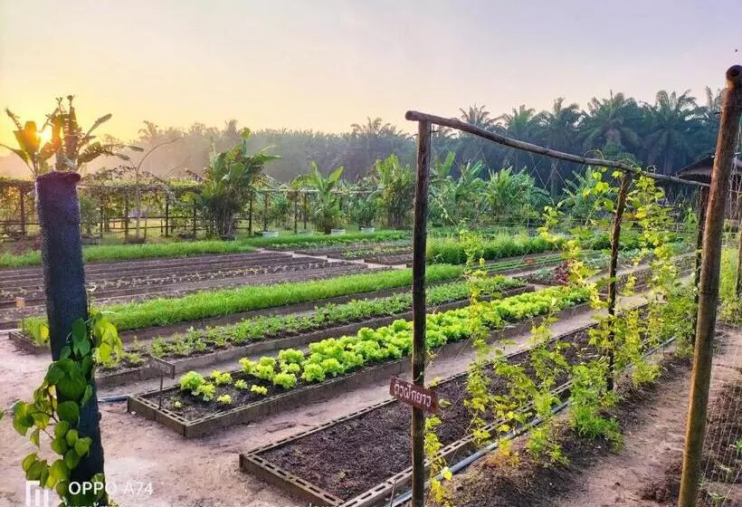 リゾートホテル Phonphusang Utopia Farmstay