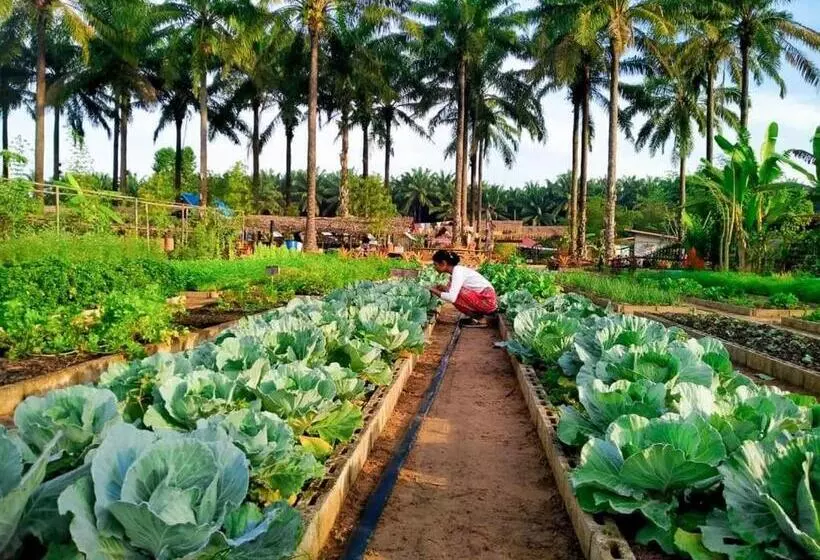 リゾートホテル Phonphusang Utopia Farmstay