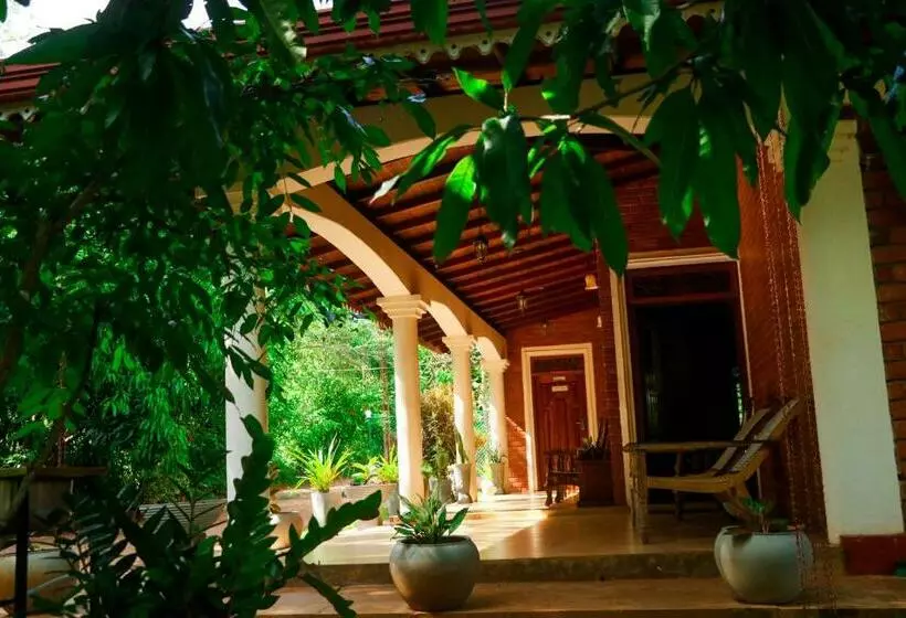 Tikuhut Hostel Sigiriya