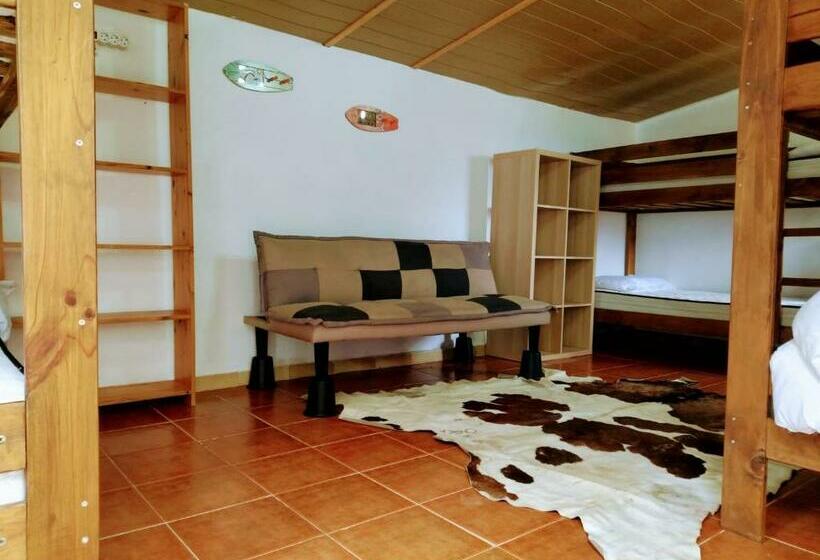 הוסטל Surfhousegerra