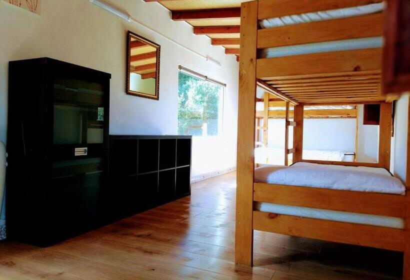 הוסטל Surfhousegerra