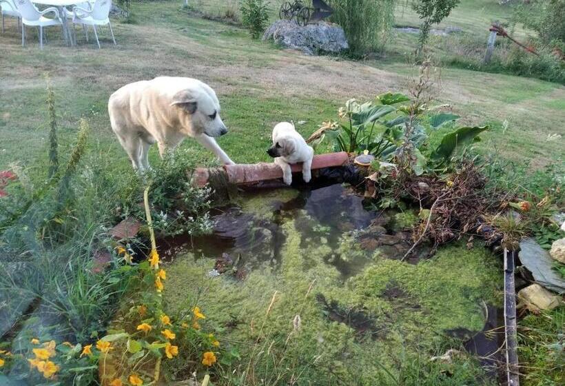 הוסטל Surfhousegerra