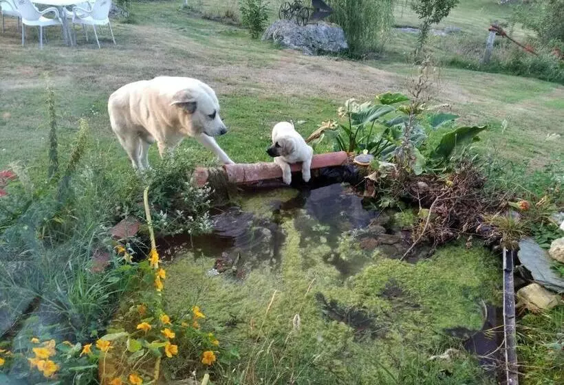 Retkeilymaja Surfhousegerra