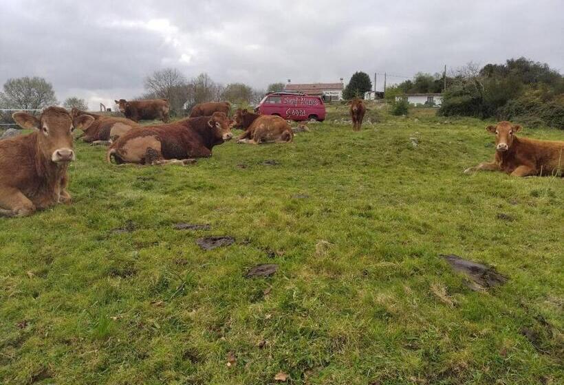 הוסטל Surfhousegerra