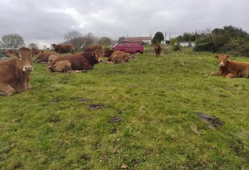 Retkeilymaja Surfhousegerra