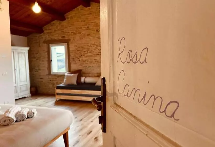 Villa Arcadia B&b