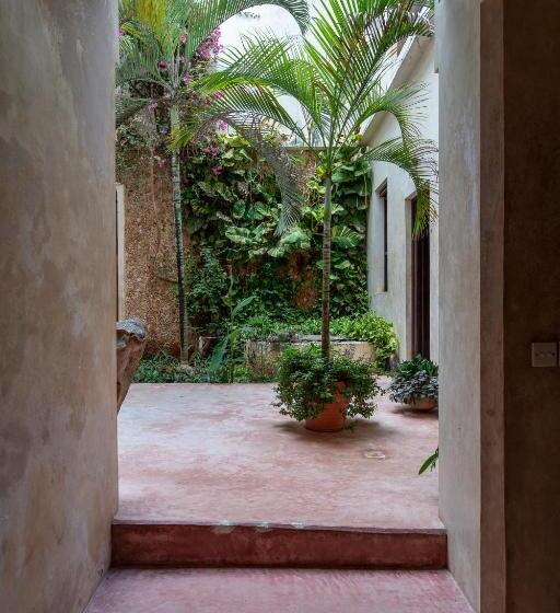 تختخواب و صبحانه Amma S House