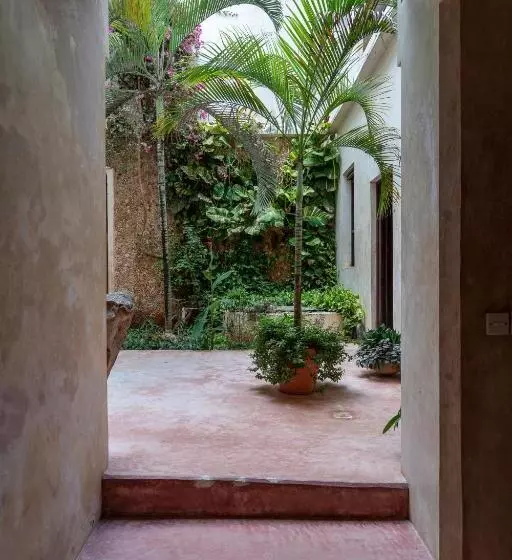 تختخواب و صبحانه Amma S House