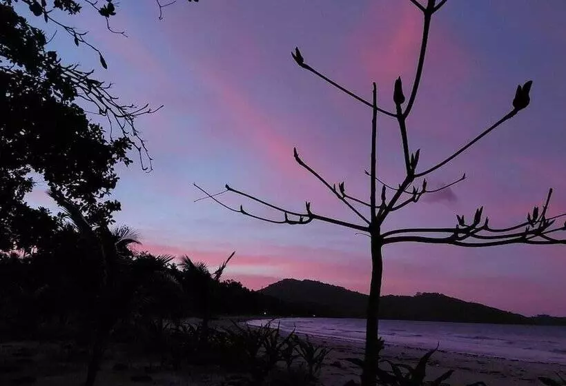 ホテル La Tranquilidad Beach Club