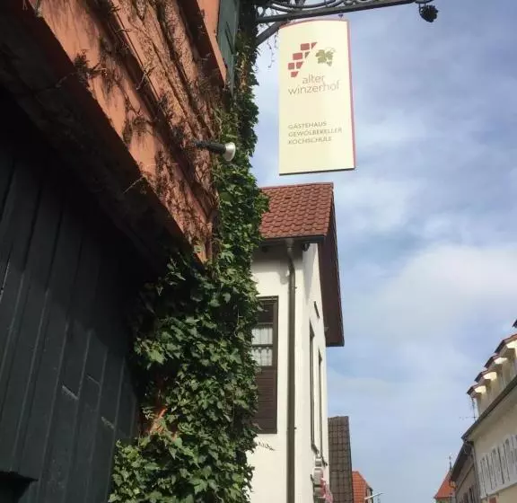 Hotelli Alter Winzerhof Weisenheim Am Berg E.k