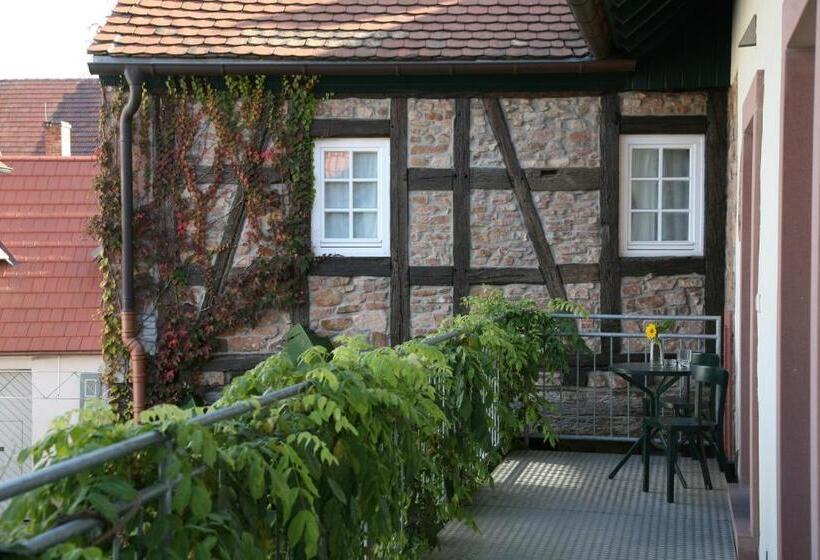 בית מלון כפרי Alter Winzerhof Weisenheim Am Berg E.k