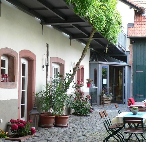 בית מלון כפרי Alter Winzerhof Weisenheim Am Berg E.k