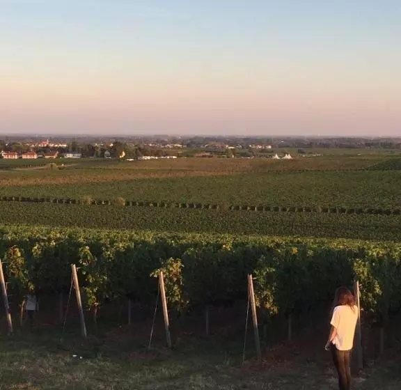 Hotelli Alter Winzerhof Weisenheim Am Berg E.k