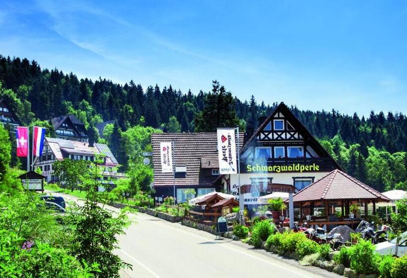 酒店 Berggasthof Schwarzwaldperle