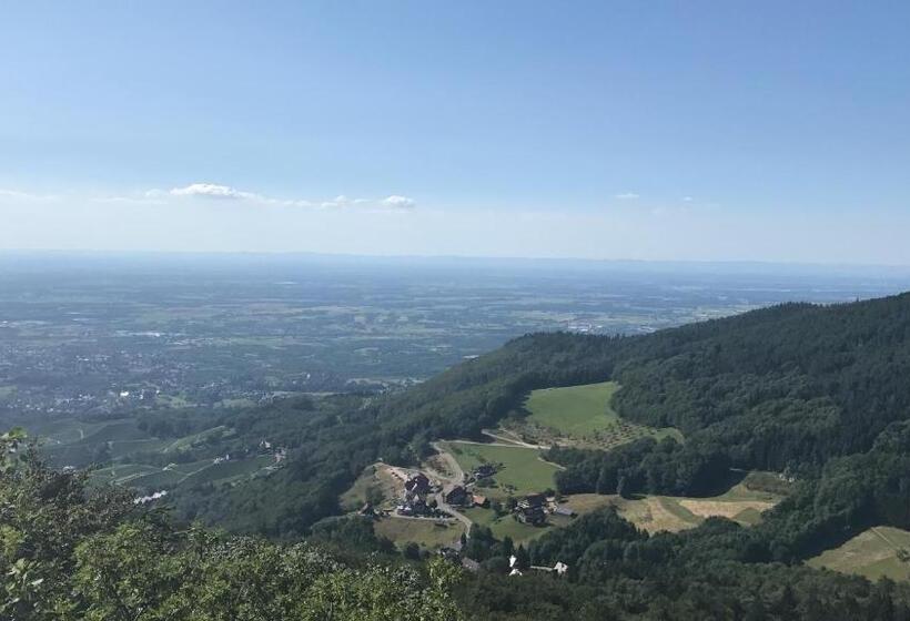 酒店 Berggasthof Schwarzwaldperle