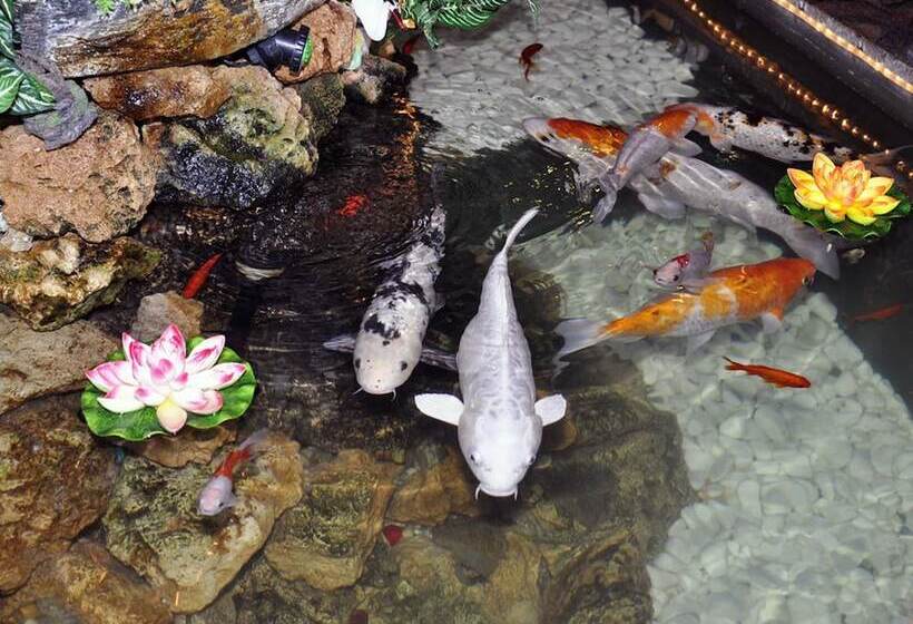 בית מלון כפרי Europaischer Hof