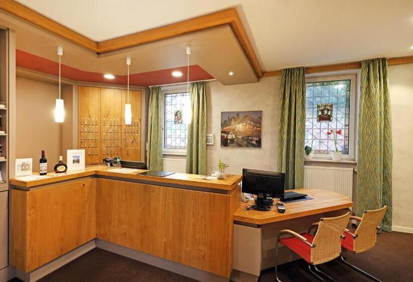 فندق Goldener Karpfen