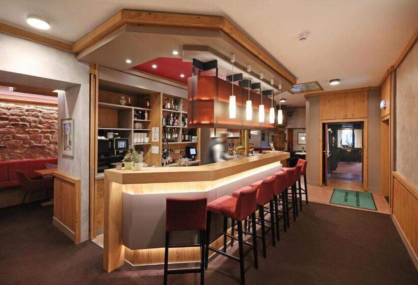 فندق Goldener Karpfen