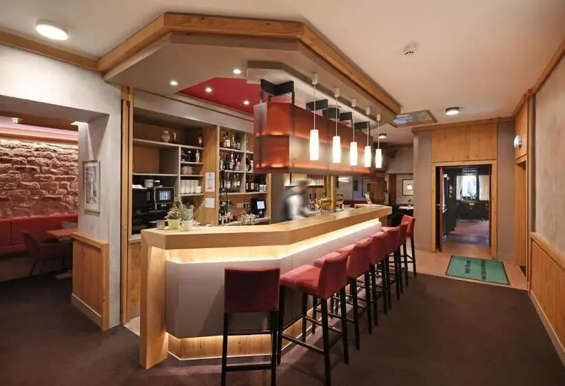 Hotelli Goldener Karpfen